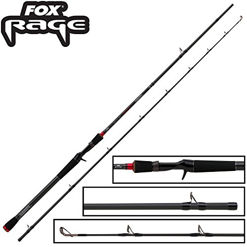 La canne à pêche Fox Pêche au Brochet