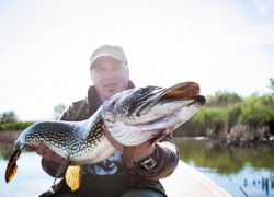 Pêche en eau douce : quelle est la taille légale de capture des poissons comme le brochet ?