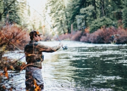 Quand peut-on pêcher le brochet en France ?