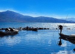 Choisir son matériel pour la pêche à la carpe